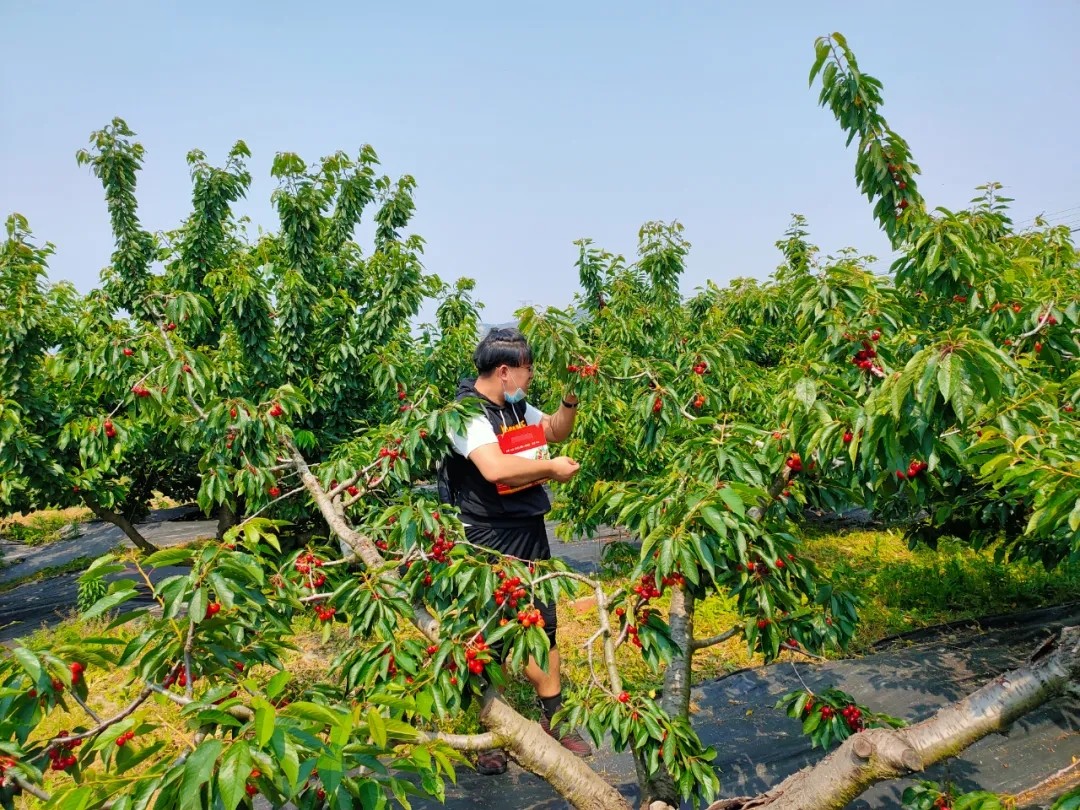 643.webp.jpg 643.webp.jpg